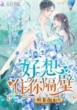 夏晚安韩经年